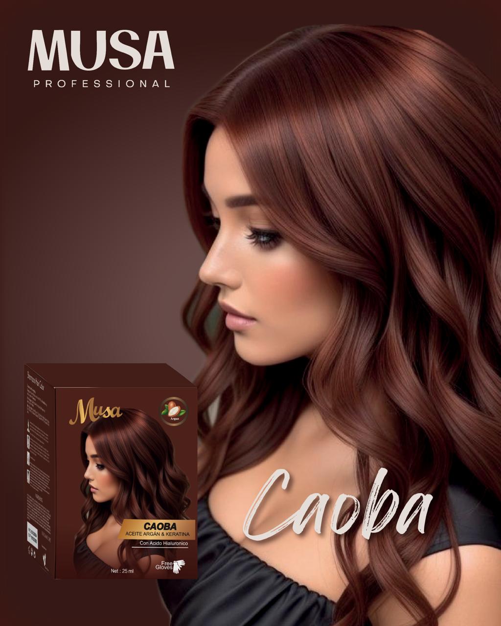 SHAMPO PINTA CANAS ORGÁNICO SIN AMONIACO ( CAJA Y FRASCO)