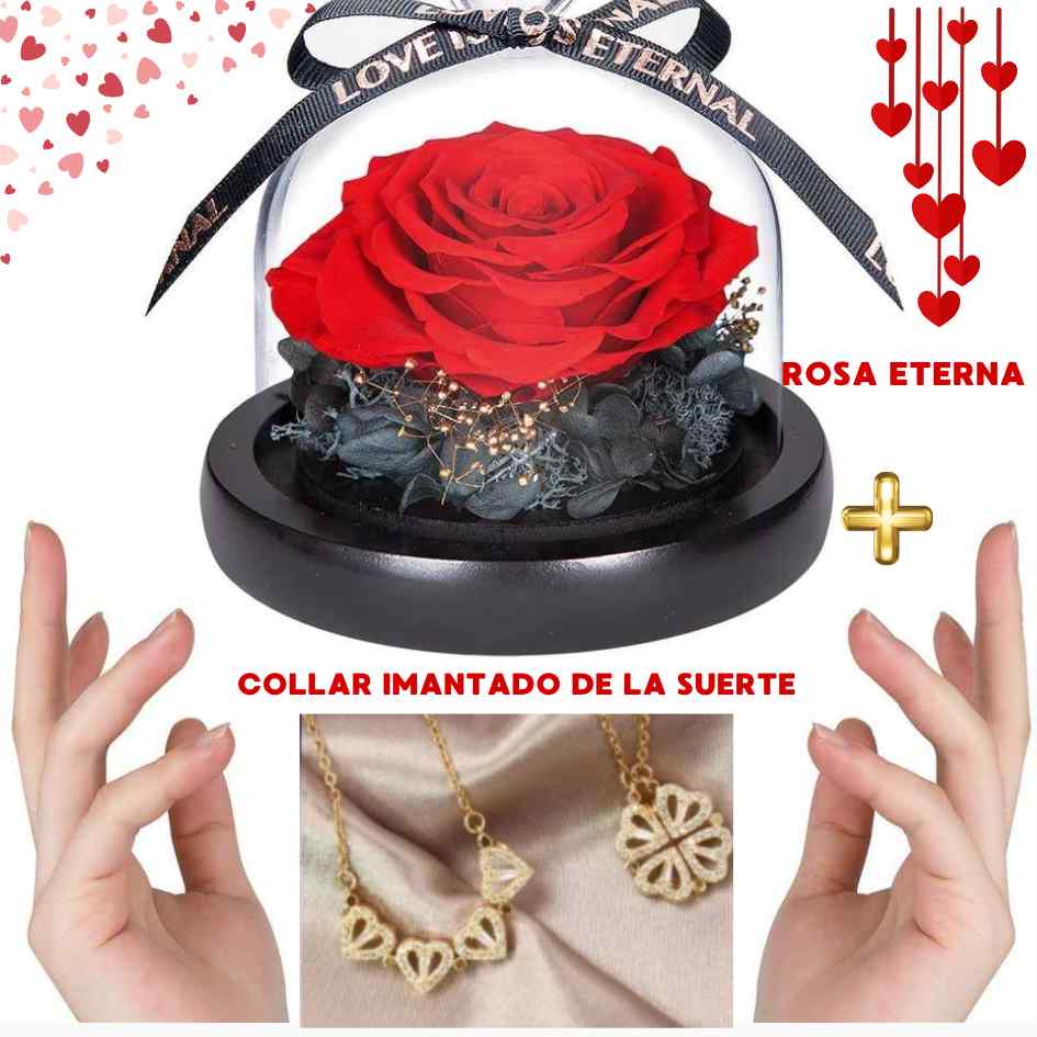 BOX AMOR INOLVIDABLE (ROSA ETERNA +COLLAR DE LA SUERTE)