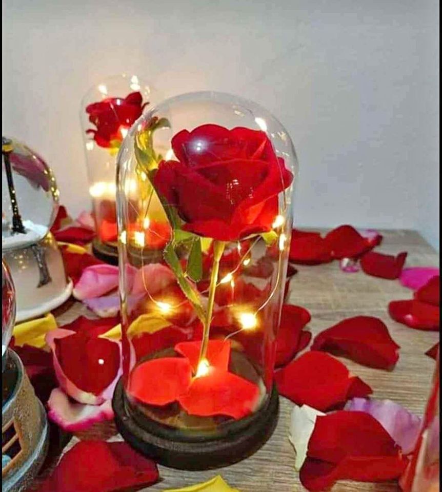 ROSA ETERNA DETALLE ESPECIAL  | ENVÍO GRATIS